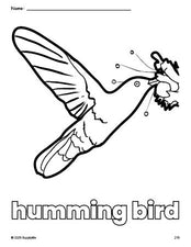 Free printable humming bird coloring page for preschool, pre-k, and kindergarten, PDF