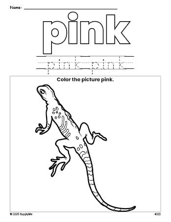 Free lizard color pink coloring page and color worksheet, pink worksheet for preschoolers to learn colors, printable PDF