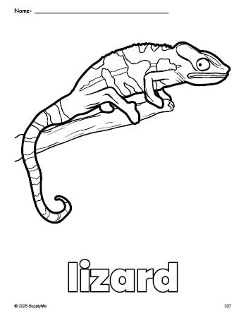 Free printable lizard coloring page for preschool, pre-k, and kindergarten, PDF