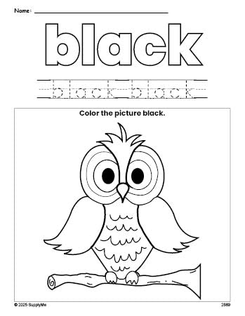 Free owl color black coloring page and color worksheet, black worksheet for preschoolers to learn colors, printable PDF