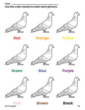 Free pigeon coloring page and color worksheet for preschoolers to learn colors, printable PDF