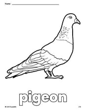 Free printable pigeon coloring page for preschool, pre-k, and kindergarten, PDF