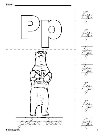 Free printable polar bear coloring page and cursive letter tracing worksheet, letter p worksheet for preschool, pre-k, and kindergarten, PDF