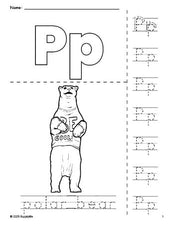 Free printable polar bear coloring page and letter tracing worksheet, letter p worksheet for preschool, pre-k, and kindergarten, PDF