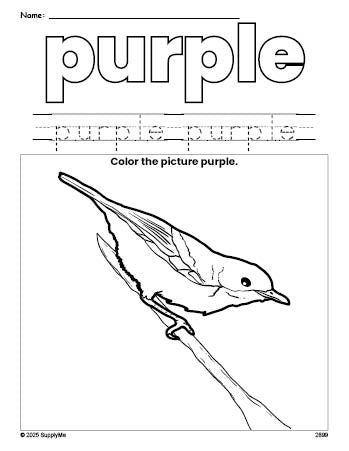 Free robin color purple coloring page and color worksheet, purple worksheet for preschoolers to learn colors, printable PDF