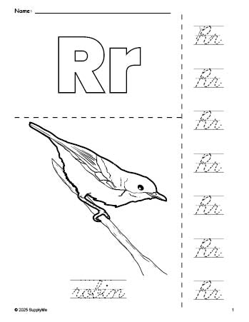 Free printable robin coloring page and cursive letter tracing worksheet, letter r worksheet for preschool, pre-k, and kindergarten, PDF