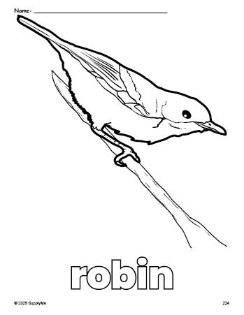 Free printable robin coloring page for preschool, pre-k, and kindergarten, PDF