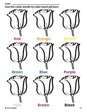 Free rose coloring page and color worksheet for preschoolers to learn colors, printable PDF