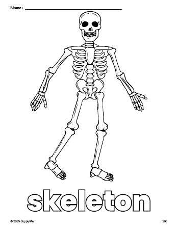 Free printable skeleton Halloween coloring page for preschool, pre-k, and kindergarten, PDF