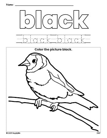 Free sparrow color black coloring page and color worksheet, black worksheet for preschoolers to learn colors, printable PDF