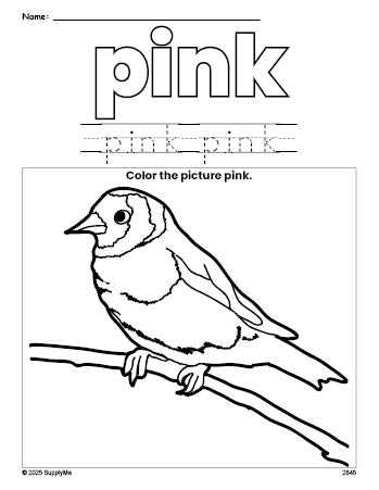 Free sparrow color pink coloring page and color worksheet, pink worksheet for preschoolers to learn colors, printable PDF