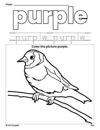 Free sparrow color purple coloring page and color worksheet, purple worksheet for preschoolers to learn colors, printable PDF