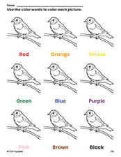 Free sparrow coloring page and color worksheet for preschoolers to learn colors, printable PDF