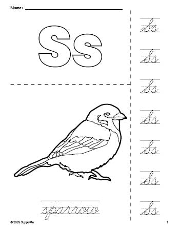 Free printable sparrow coloring page and cursive letter tracing worksheet, letter s worksheet for preschool, pre-k, and kindergarten, PDF