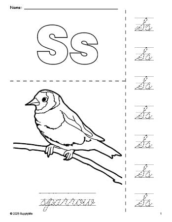 Free printable sparrow coloring page and cursive letter tracing worksheet, letter s worksheet for preschool, pre-k, and kindergarten, PDF