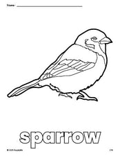 Free printable sparrow coloring page for preschool, pre-k, and kindergarten, PDF