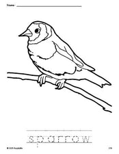 Free printable sparrow coloring page and word tracing worksheet, perfect for preschool, pre-k, and kindergarten, PDF