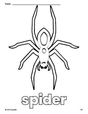 Free printable spider Halloween coloring page for preschool, pre-k, and kindergarten, PDF