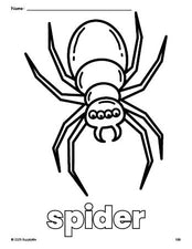 Free printable spider Halloween coloring page for preschool, pre-k, and kindergarten, PDF