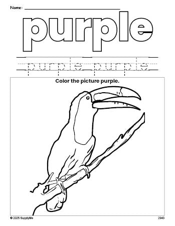 Free tucan color purple coloring page and color worksheet, purple worksheet for preschoolers to learn colors, printable PDF