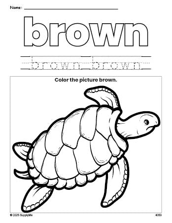 Free turtle color brown coloring page and color worksheet, brown worksheet for preschoolers to learn colors, printable PDF