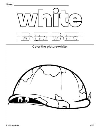 Free turtle color white coloring page and color worksheet, white worksheet for preschoolers to learn colors, printable PDF