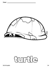 Free printable turtle coloring page for preschool, pre-k, and kindergarten, PDF