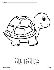 Free printable turtle coloring page for preschool, pre-k, and kindergarten, PDF