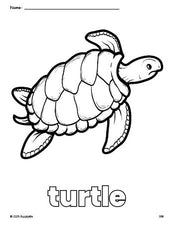 Free printable turtle coloring page for preschool, pre-k, and kindergarten, PDF