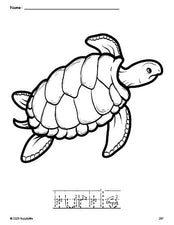 Free printable turtle coloring page and word tracing worksheet, letter formation guides, perfect for preschool, pre-k, and kindergarten, PDF