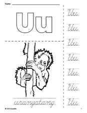 Free printable urangatang coloring page and cursive letter tracing worksheet, letter u worksheet for preschool, pre-k, and kindergarten, PDF