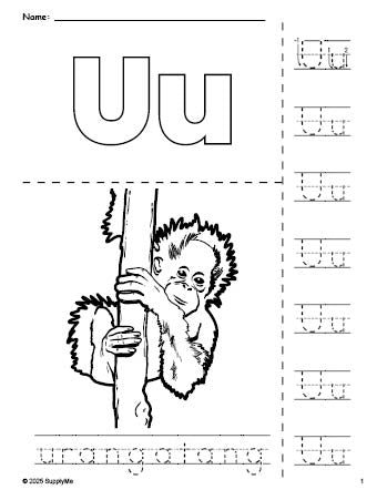 Free printable urangatang coloring page and letter tracing worksheet, letter u worksheet for preschool, pre-k, and kindergarten, PDF