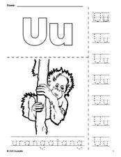 Free printable urangatang coloring page and letter tracing worksheet, letter u worksheet for preschool, pre-k, and kindergarten, PDF