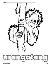 Free printable urangatang coloring page for preschool, pre-k, and kindergarten, PDF