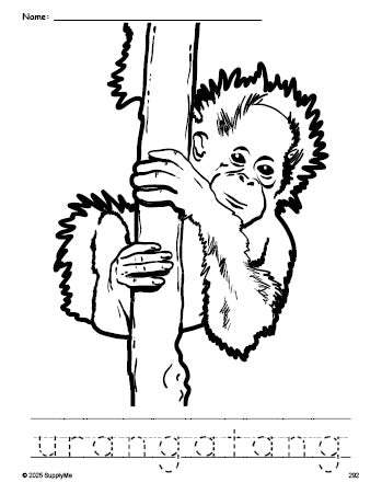 Free printable urangatang coloring page and word tracing worksheet, perfect for preschool, pre-k, and kindergarten, PDF