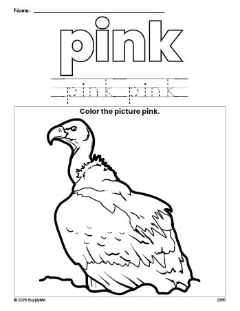 Free vulture color pink coloring page and color worksheet, pink worksheet for preschoolers to learn colors, printable PDF