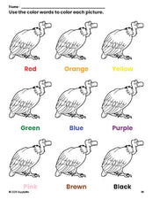 Free vulture coloring page and color worksheet for preschoolers to learn colors, printable PDF