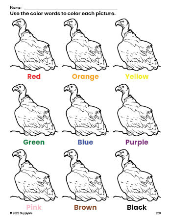 Free vulture coloring page and color worksheet for preschoolers to learn colors, printable PDF