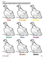 Free vulture coloring page and color worksheet for preschoolers to learn colors, printable PDF