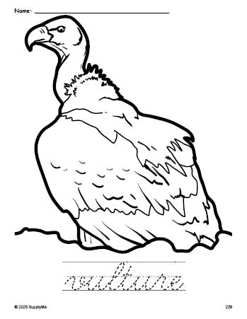 Free printable vulture coloring page and cursive word tracing worksheet, perfect for preschool, pre-k, and kindergarten, PDF