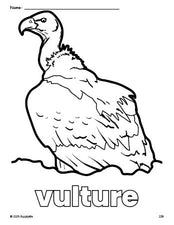 Free printable vulture coloring page for preschool, pre-k, and kindergarten, PDF