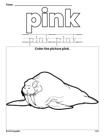 Free walrus color pink coloring page and color worksheet, pink worksheet for preschoolers to learn colors, printable PDF