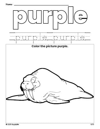 Free walrus color purple coloring page and color worksheet, purple worksheet for preschoolers to learn colors, printable PDF