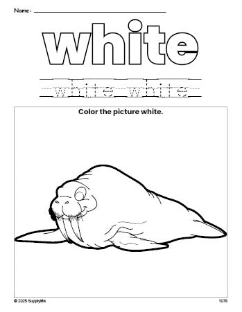 Free walrus color white coloring page and color worksheet, white worksheet for preschoolers to learn colors, printable PDF