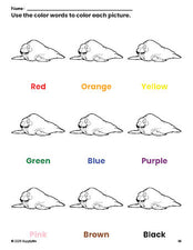 Free walrus coloring page and color worksheet for preschoolers to learn colors, printable PDF