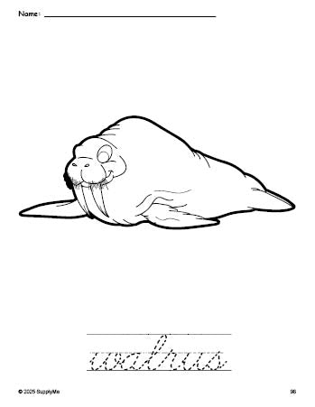 Free printable walrus coloring page and cursive word tracing worksheet, perfect for preschool, pre-k, and kindergarten, PDF