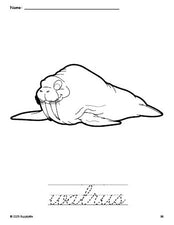 Free printable walrus coloring page and cursive word tracing worksheet, perfect for preschool, pre-k, and kindergarten, PDF