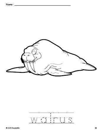 Free printable walrus coloring page and word tracing worksheet, perfect for preschool, pre-k, and kindergarten, PDF