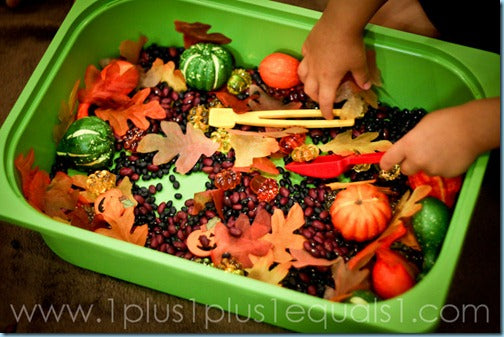 Top 5 Autumn Sensory Bins – SupplyMe