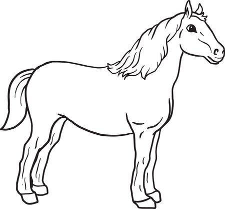 coloring pages of baby horses